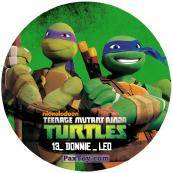 PaxToy.com 13_DONNIE_LEO из Chipicao: Teenage Mutant Ninja Turtles