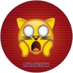 PaxToy 54 Кот в шоке