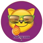 PaxToy 08 Коте в очках и  с леденцом