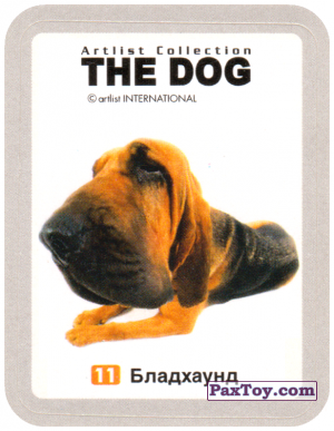 PaxToy.com - 11 Бладхаунд из Cheetos: THE DOG: Artlist Collection