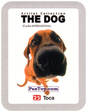 PaxToy.com 25 Тоса из Cheetos: THE DOG: Artlist Collection