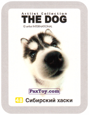 PaxToy.com - 48 Сибирский Хаски из Cheetos: THE DOG: Artlist Collection