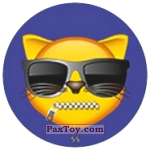 PaxToy 55 Коте в очках