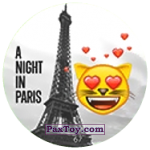 PaxToy 67 CAT A NIIGHT IN PARIS