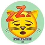 PaxToy 85 Коте спит