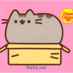 PaxToy 01 (Розовый фон)   Pusheen в коробочке