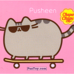 PaxToy 04 (Розовый фон)    Pusheen на скейте