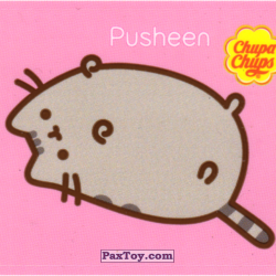 PaxToy 05 (Розовый фон)   Pusheen нежится