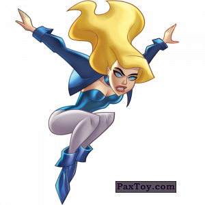 PaxToy.com - 10 Black Canary (Сторна-back) из Z Energy: DC Super Heroes (Blokhedz)