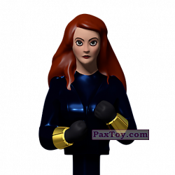 PaxToy 03 Black Widow