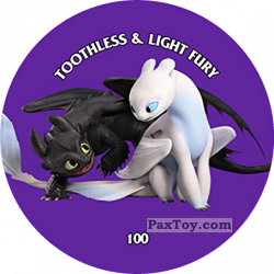 PaxToy 100 Toothless & Light Fury