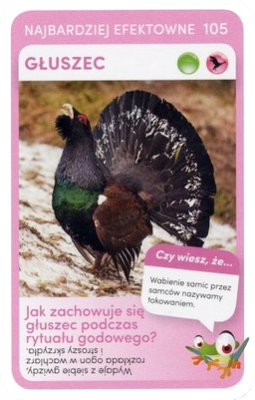 PaxToy.com  Карточка / Card 105 Gluszec из Biedronka: Super zwierzaki