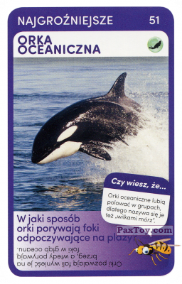 PaxToy.com  Карточка / Card 51 Orka Oceaniczna из Biedronka: Super zwierzaki