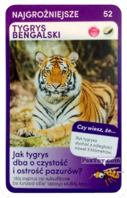 PaxToy.com  Карточка / Card 52 Tygrys Bengalski из Biedronka: Super zwierzaki