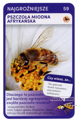 59 Pszczola Miodna