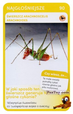 PaxToy.com  Карточка / Card 90 Swierszcz Arachnoscelis Arachnoides из Biedronka: Super zwierzaki