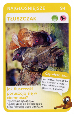PaxToy.com  Карточка / Card 94 Tluszczak из Biedronka: Super zwierzaki
