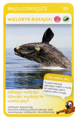 PaxToy.com 95 Wieloryb Biskajski из Biedronka: Super zwierzaki