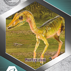 PaxToy 06 Compsognathus a