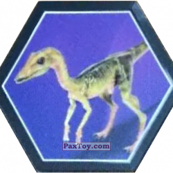 PaxToy 13 Compsognathus a