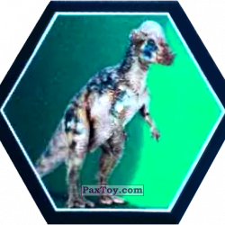 PaxToy 14 Pachycefalozaur a