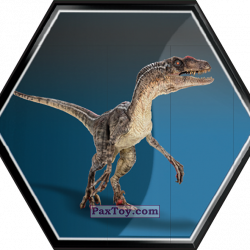 PaxToy 20 Velociraptor Mascul a