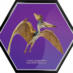 PaxToy 22 Pteranodon Femela a