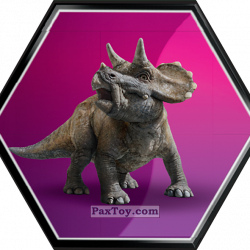 PaxToy 27 Pui de Triceratops 1
