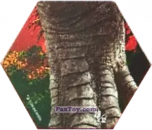 PaxToy.com - Карточка / Card 29 Velociraptor Femela (Сторна-back) из Carrefour: Jurassic World