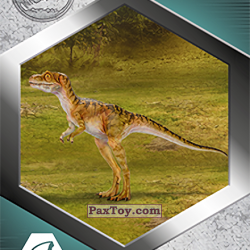 PaxToy 55 Tiranosaurio Rex Bebe a