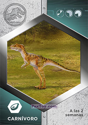 PaxToy.com  Карточка / Card 55 Tiranosaurio Rex Bebe из Supermercados DIA: Jurassic World - Cards