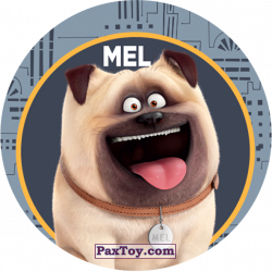 PaxToy 006 Mel