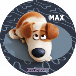 PaxToy 037 Max