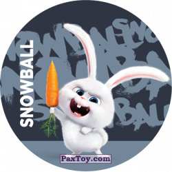 PaxToy 042 Snowball