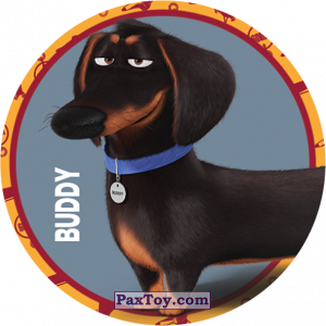 PaxToy.com 060 Buddy из Doritos: La Vida Secreta De Tus Mascotas