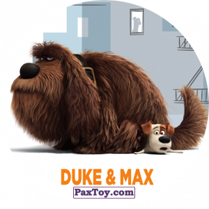 PaxToy.com  Фишка / POG / CAP / Tazo 063 Duke &#038; Max из Cheetos: La Vida Secreta De Tus Mascotas