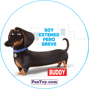 PaxToy.com  Фишка / POG / CAP / Tazo 094 Buddy из Cheetos: La Vida Secreta De Tus Mascotas