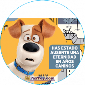 PaxToy.com  Фишка / POG / CAP / Tazo 098 Max из Cheetos: La Vida Secreta De Tus Mascotas