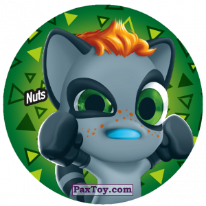 PaxToy.com  Фишка / POG / CAP / Tazo 100 Nuts из Gamesa: Super Funki Punky