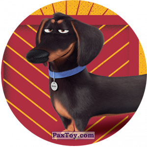 PaxToy.com 105 Buddy (METAL) из Sabritas: La Vida Secreta De Tus Mascotas