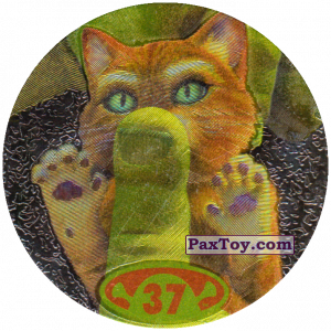 PaxToy.com - 37 Puss in Boots из Cheetos: Shrek 2 (50 штук)
