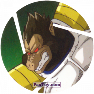 081 Vegeta Mono