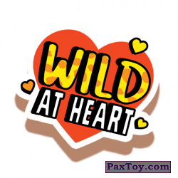PaxToy 24 Wild At Heart