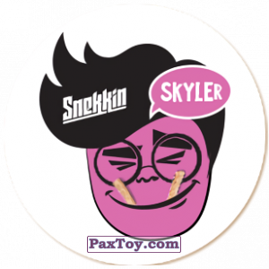 PaxToy.com - 10 Skyler из Snekkin: Собери и выиграй!