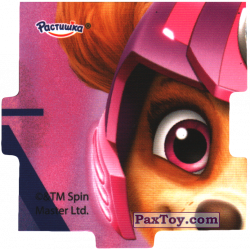 PaxToy 03