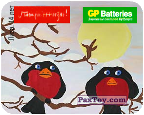 PaxToy.com 10 Вороны - Лиза, 14 лет из GP Batteries: Магниты - Подари Жизнь!