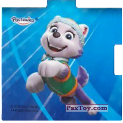 PaxToy 13