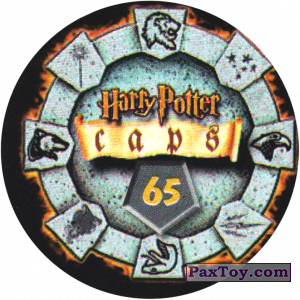 PaxToy.com - 65 Метла (Сторна-back) из Harry Potter Caps - Гарри Поттер Фишки