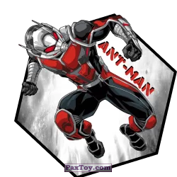 PaxToy 16 Ant Man