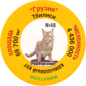 PaxToy.com 048 Тбилиси - Камышовый кот из СуперСемейка: Фауна